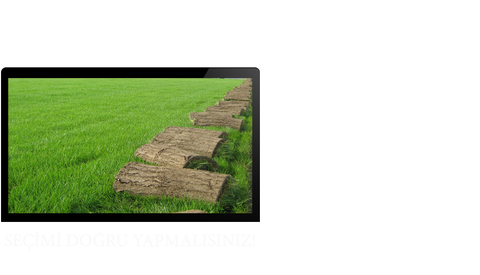 Hazır Rulo Çim