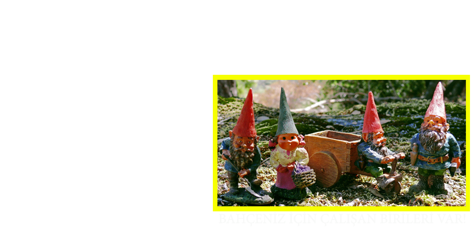 Bahçe Düzenleme
